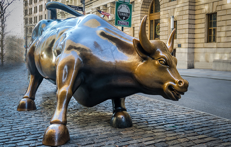 Wall Street Bull